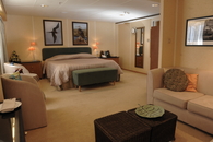 Suite/Owner's Suite (A)