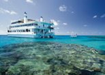Coral Princess II