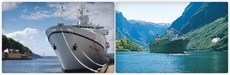 Ocean Majesty