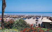 Tiburon Hotel