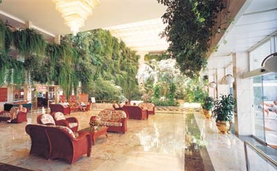Vulcano Hotel