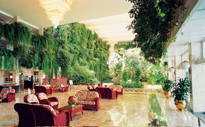 Vulcano Hotel