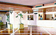 Studios Dom Pancho