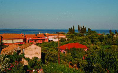 Argo Studios
