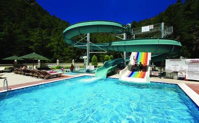 Hotel Julian Forest