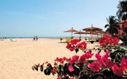 Ocean Bay Hotel And Resort