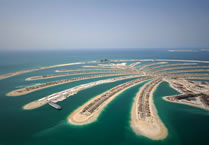 Palm Island