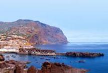 Canaries