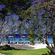 barbados coral reef