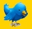 Follow on Twitter