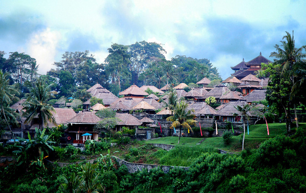 Brochure Image