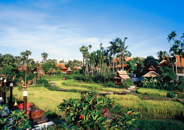 Brochure Image